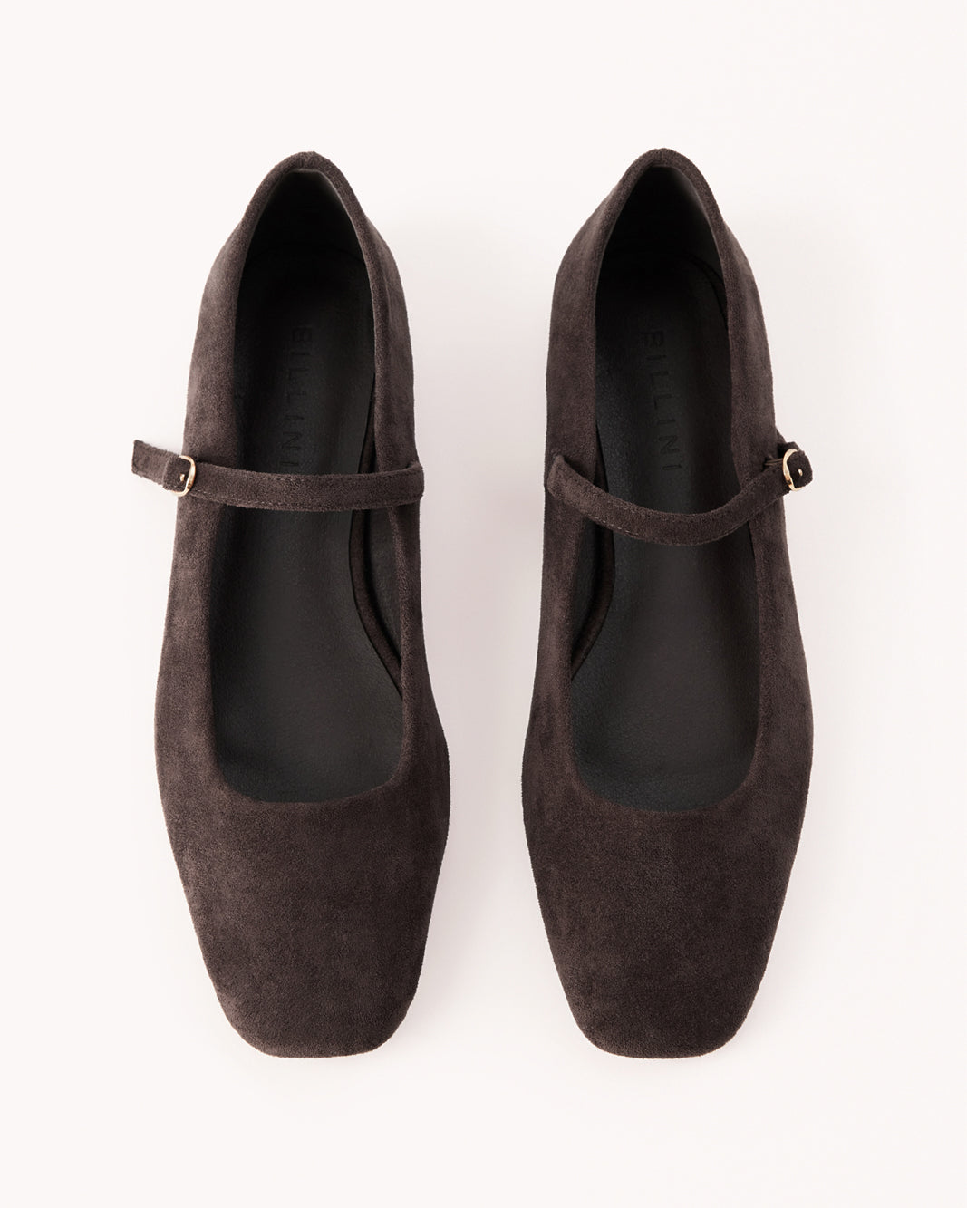 FION - DARK CACAO SUEDE-Flats-Billini-Billini